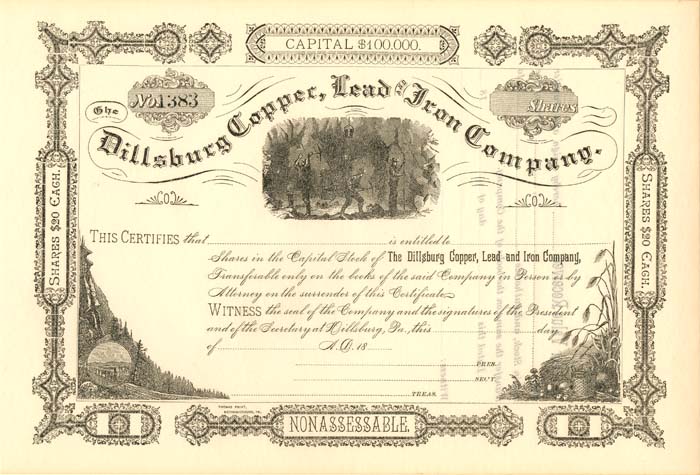 Dillsburg Copper, Lead and Iron Co. - Stock Certificate